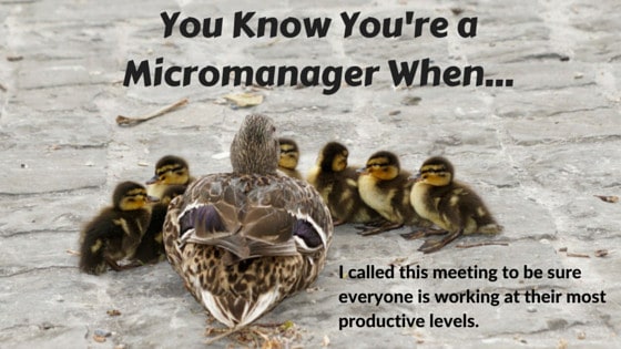 micromanaging ducks2